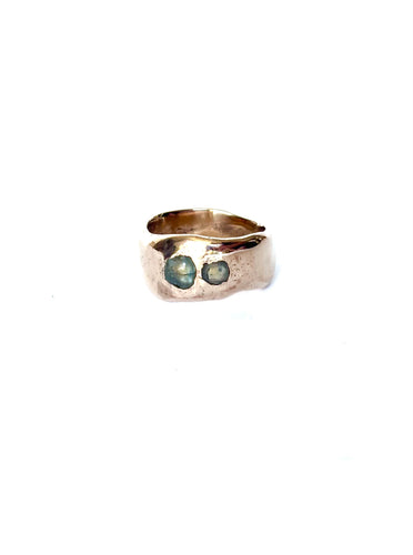 Two Montana Sapphire Ring